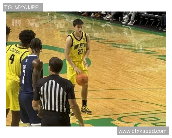 媒体人分析林葳与马健的相似之处及其成就对比引发热议